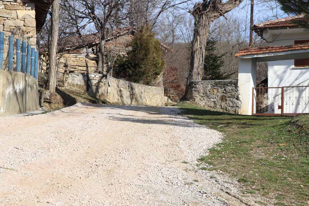 Şeyhli